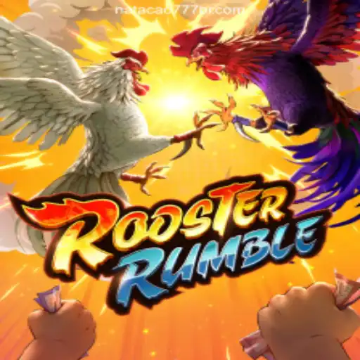 RoosterRumble and Natacao777.com Brasil: A Deep Dive into Exciting Online Gaming